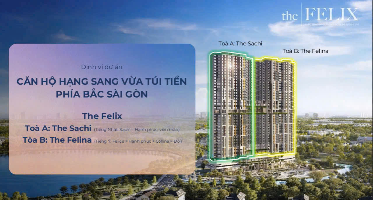 Định vị dự án The Felix