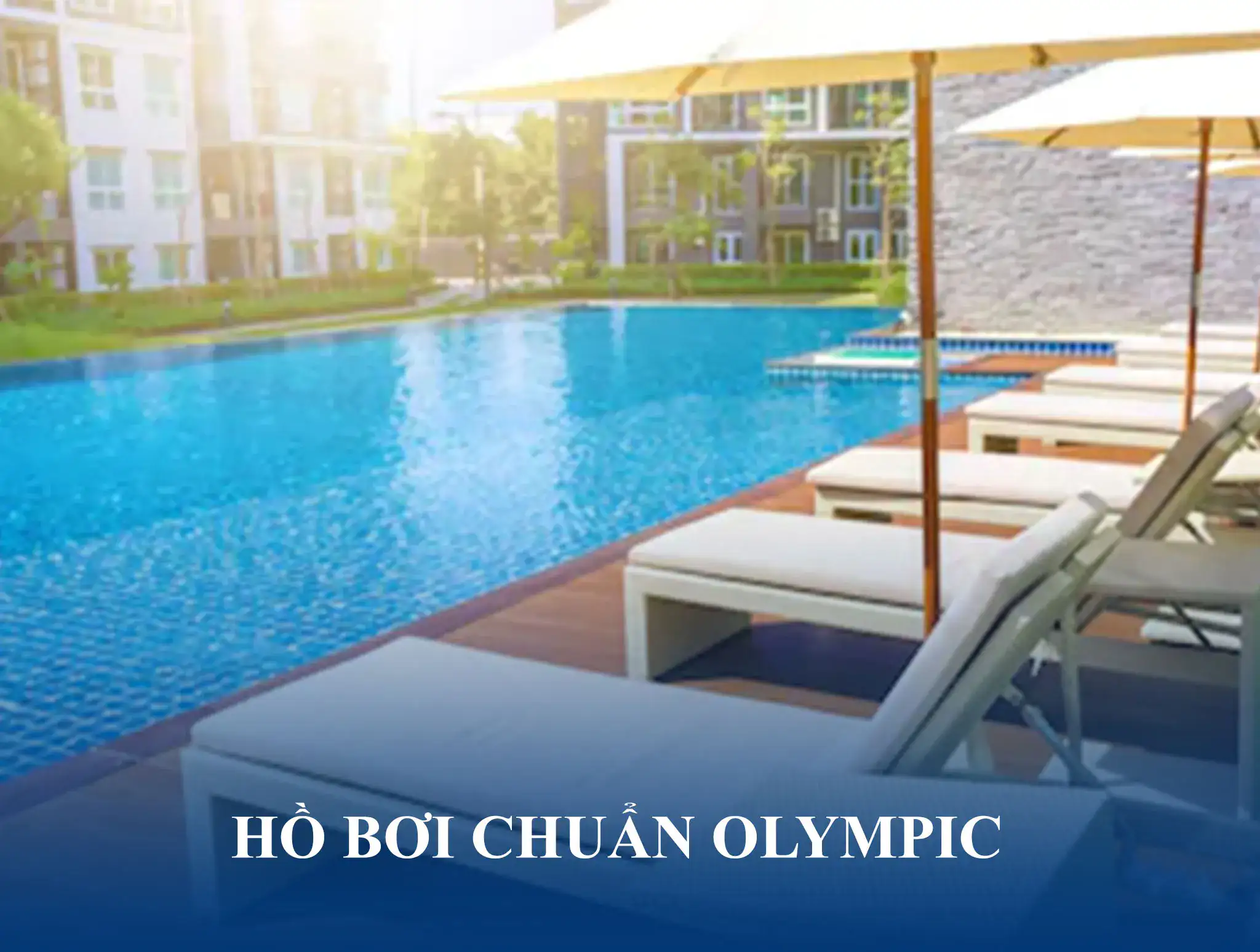 Hồ bơi chuẩn Olympic